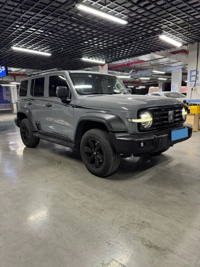 2021 Tank 300 2.0T 227HP L4 8AT,autocango,china used car exporter,china ev exporter,chinese used car exporter,chinese used ev exporter