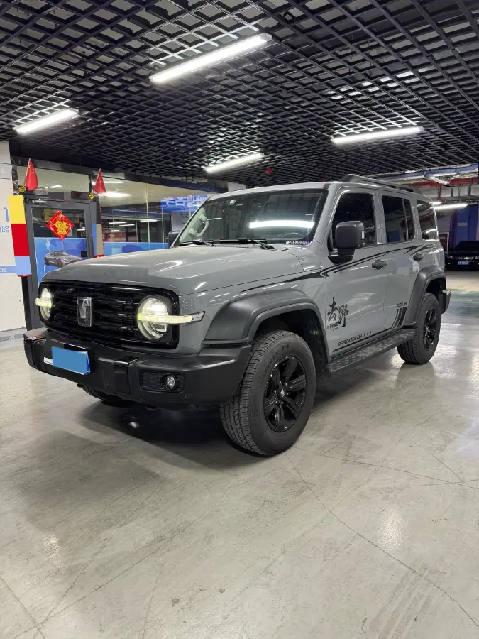 2021 Tank 300 2.0T 227HP L4 8AT,autocango,china used car exporter,china ev exporter,chinese used car exporter,chinese used ev exporter