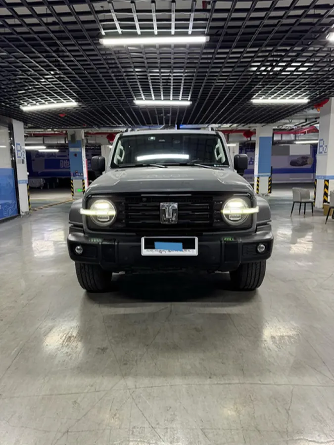 2021 Tank 300 2.0T 227HP L4 8AT,autocango,china used car exporter,china ev exporter,chinese used car exporter,chinese used ev exporter