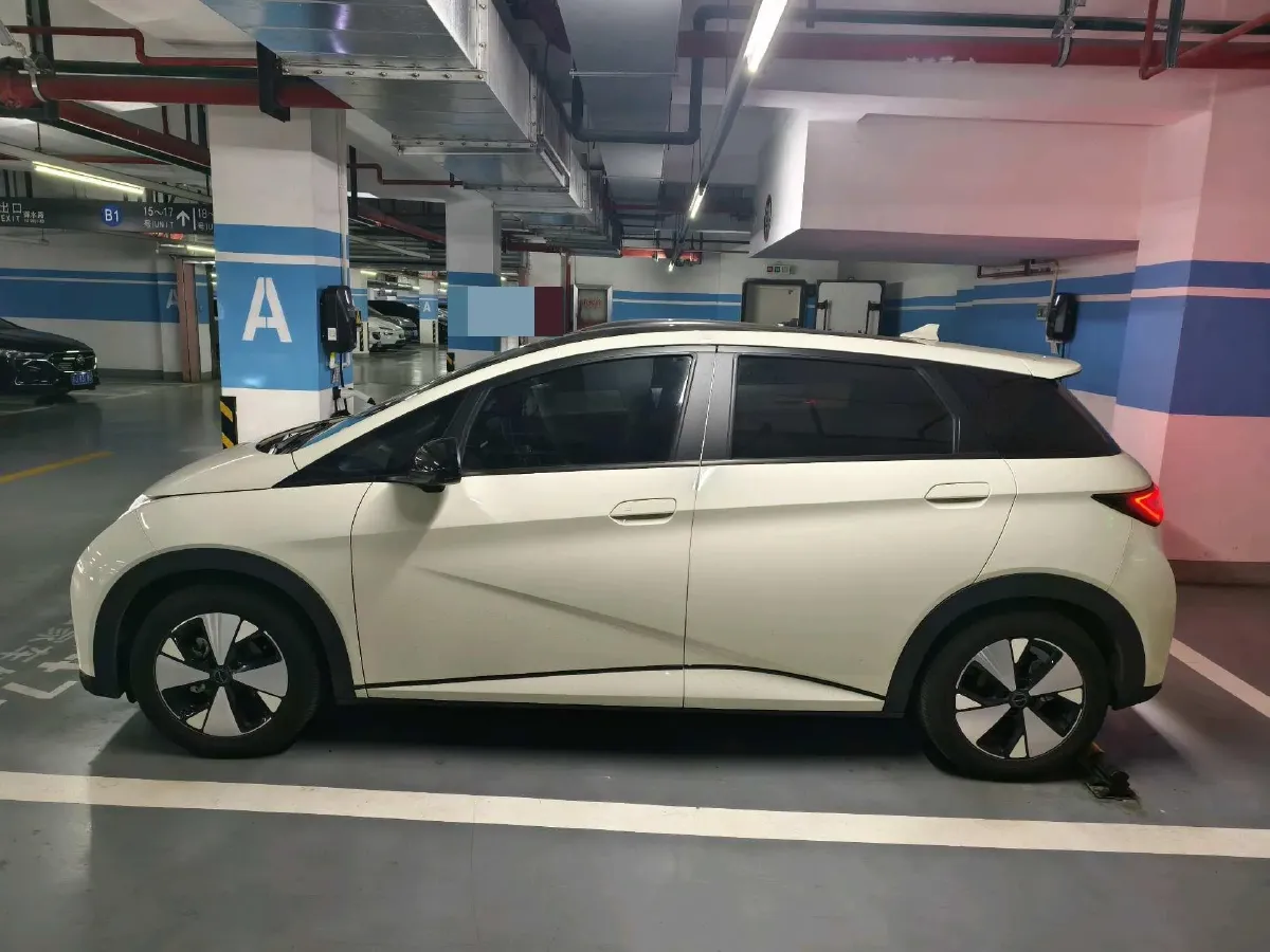 2023 BYD Dolphin BEV 44.928KWH,autocango,china used car exporter,china ev exporter,chinese used car exporter,chinese used ev exporter