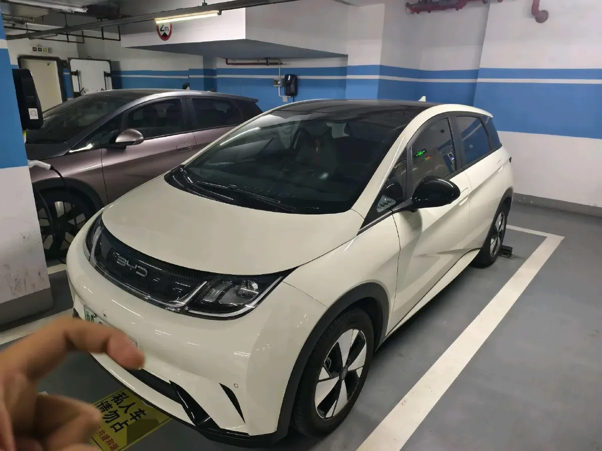 2023 BYD Dolphin BEV 44.928KWH,autocango,china used car exporter,china ev exporter,chinese used car exporter,chinese used ev exporter