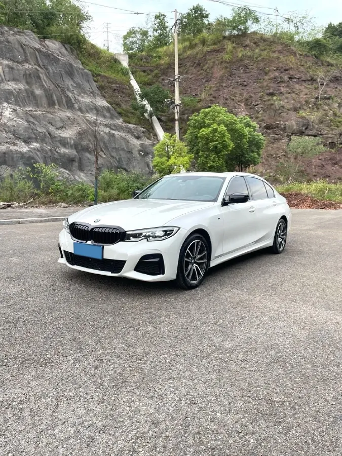 2020 BMW 3 Series 2.0T 156HP L4 8AT,autocango,china used car exporter,china ev exporter,chinese used car exporter,chinese used ev exporter