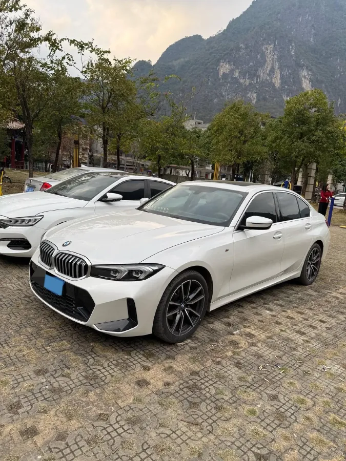2024 BMW 3 Series 2.0T 156HP L4 8AT,autocango,china used car exporter,china ev exporter,chinese used car exporter,chinese used ev exporter