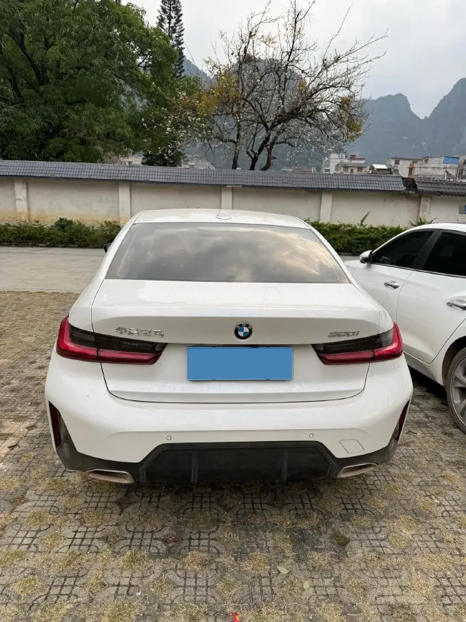 2024 BMW 3 Series 2.0T 156HP L4 8AT,autocango,china used car exporter,china ev exporter,chinese used car exporter,chinese used ev exporter