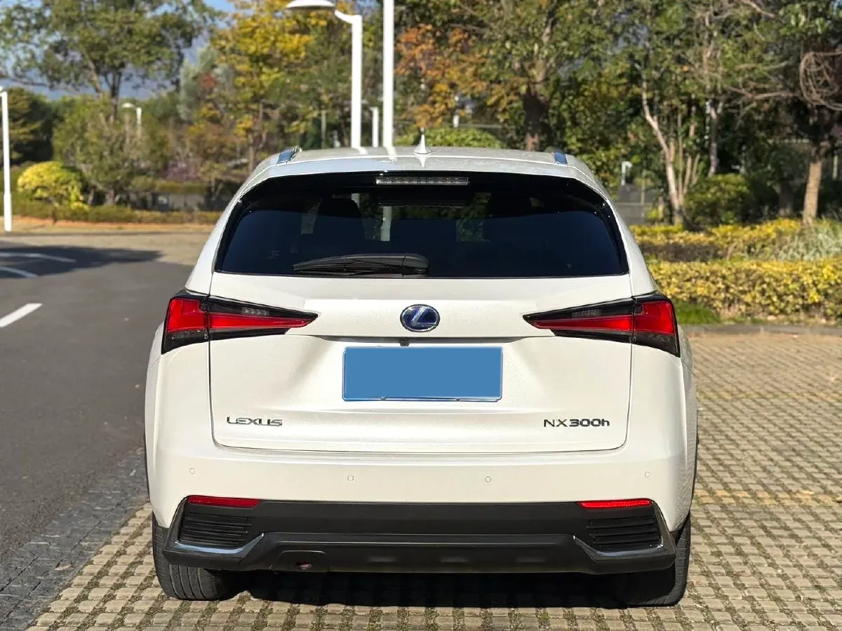 2018 Lexus NX 2.5L 155HP L4 E-CVT Hybrid,autocango,china used car exporter,china ev exporter,chinese used car exporter,chinese used ev exporter