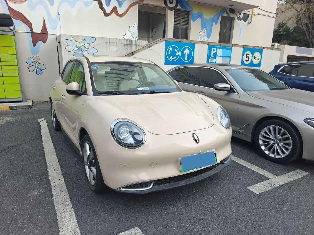 2021 Ora FunkyCat BEV 47.8KWH,autocango,china used car exporter,china ev exporter,chinese used car exporter,chinese used ev exporter