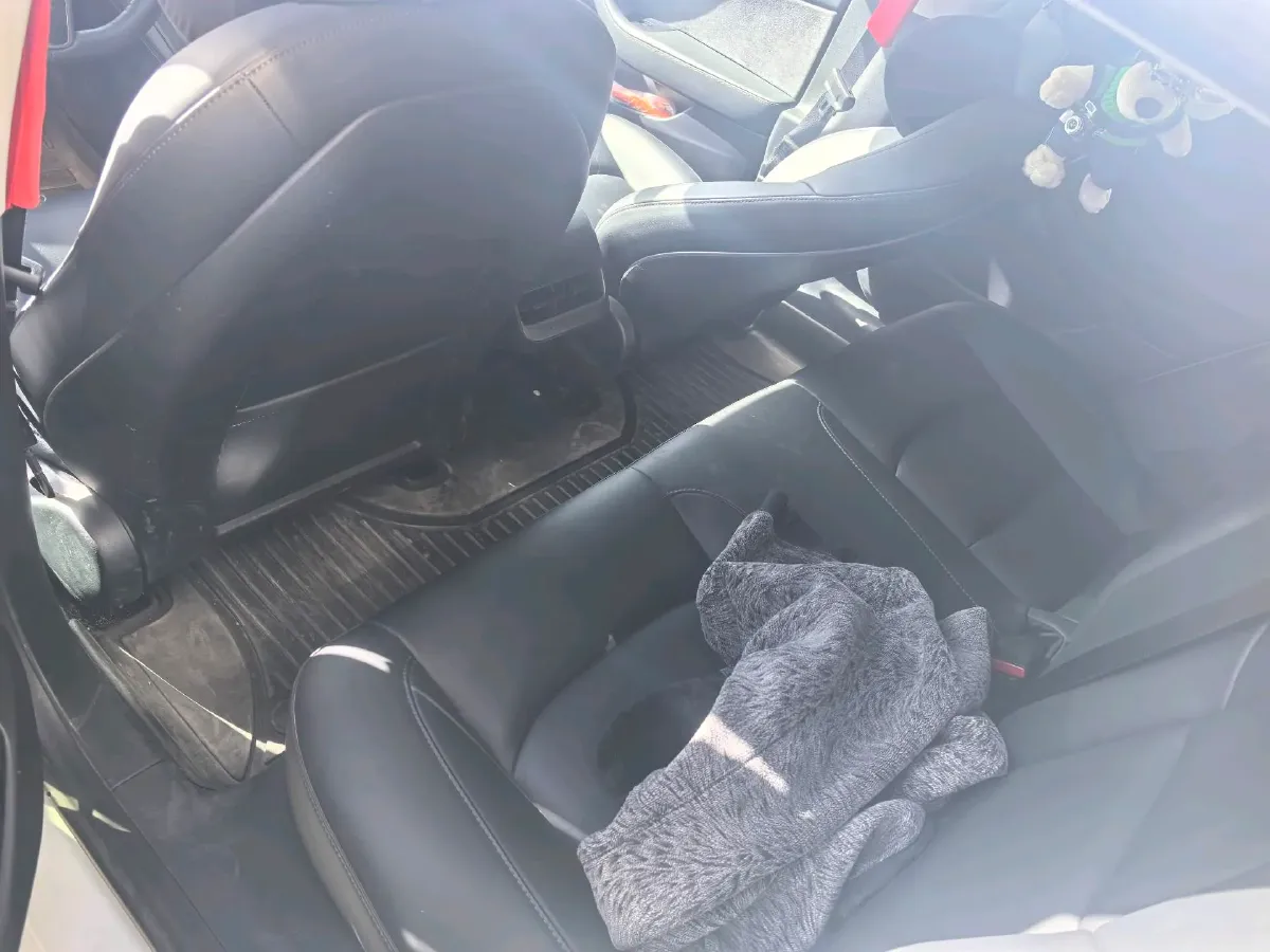 2021 Tesla Model 3 BEV 55KWH,autocango,china used car exporter,china ev exporter,chinese used car exporter,chinese used ev exporter