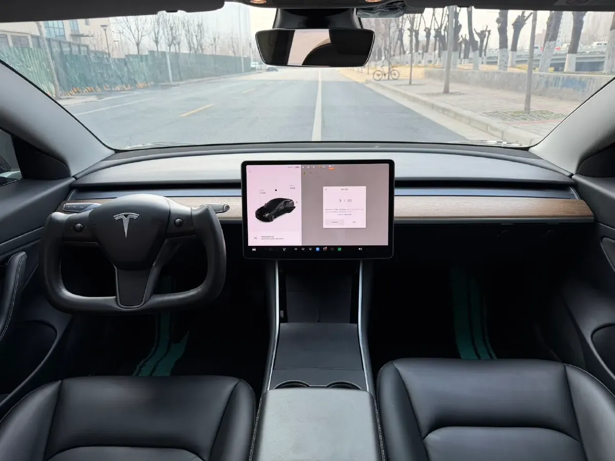 2020 Tesla Model 3 BEV 52KWH,autocango,china used car exporter,china ev exporter,chinese used car exporter,chinese used ev exporter