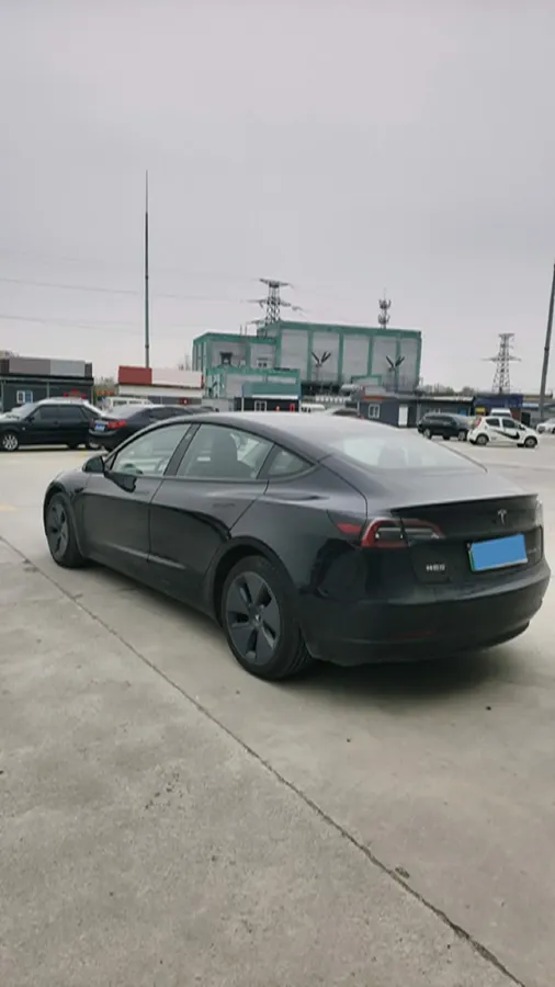 2021 Tesla Model 3 BEV 55KWH,autocango,china used car exporter,china ev exporter,chinese used car exporter,chinese used ev exporter