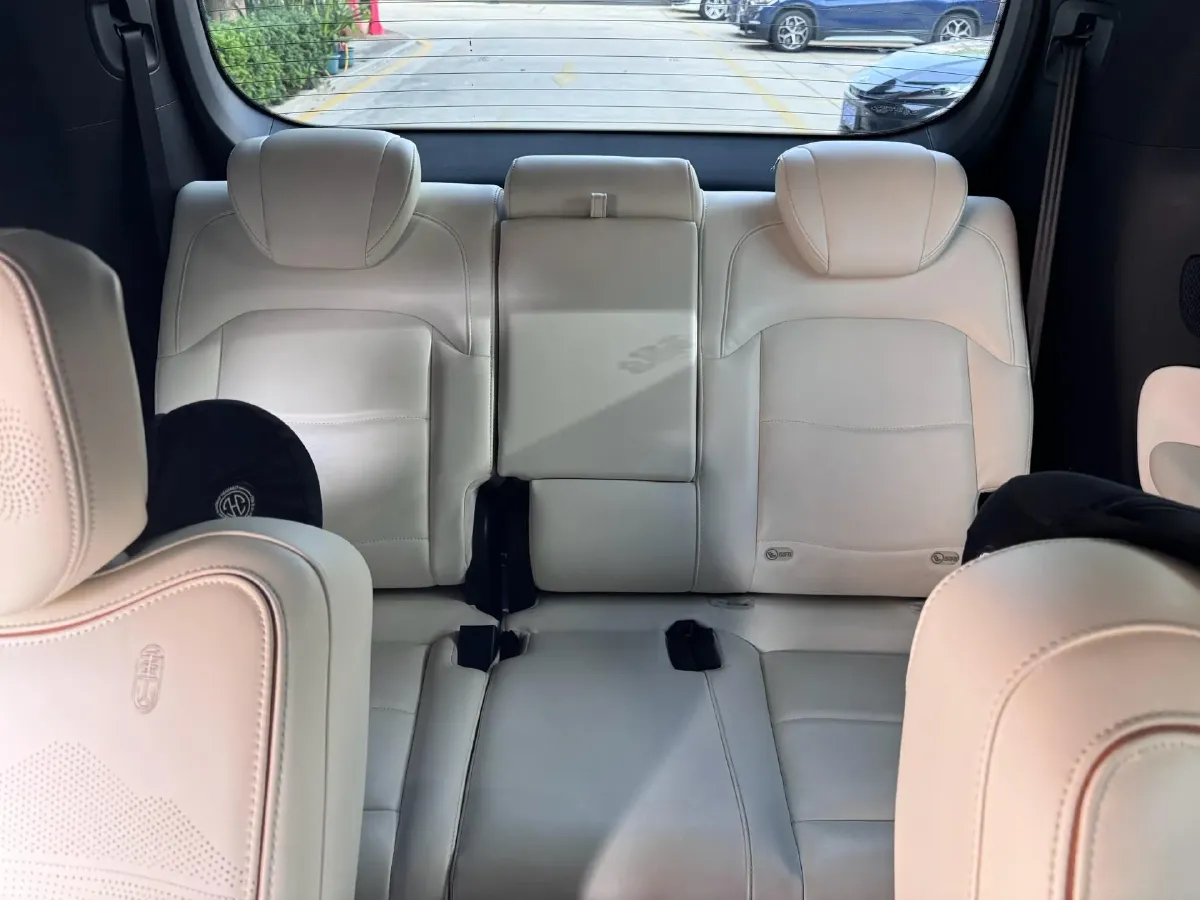 2023 GAC Trumpchi M8 2.0T 190HP L4 E-CVT Hybrid,autocango,china used car exporter,china ev exporter,chinese used car exporter,chinese used ev exporter