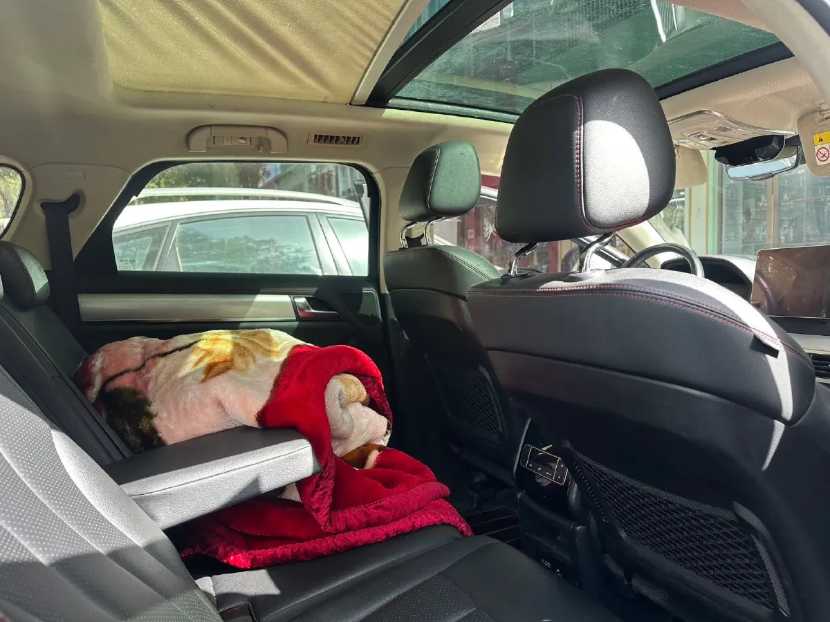 2018 BYD Tang 2.0T 205HP L4 6DCT PHEV 19.96KWH,autocango,china used car exporter,china ev exporter,chinese used car exporter,chinese used ev exporter