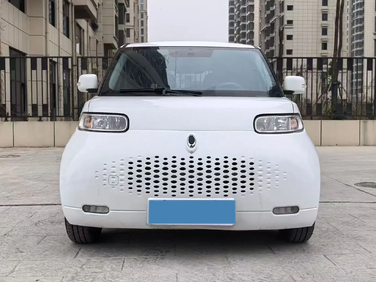2020 Ora WhiteCat BEV 29.4KWH,autocango,china used car exporter,china ev exporter,chinese used car exporter,chinese used ev exporter