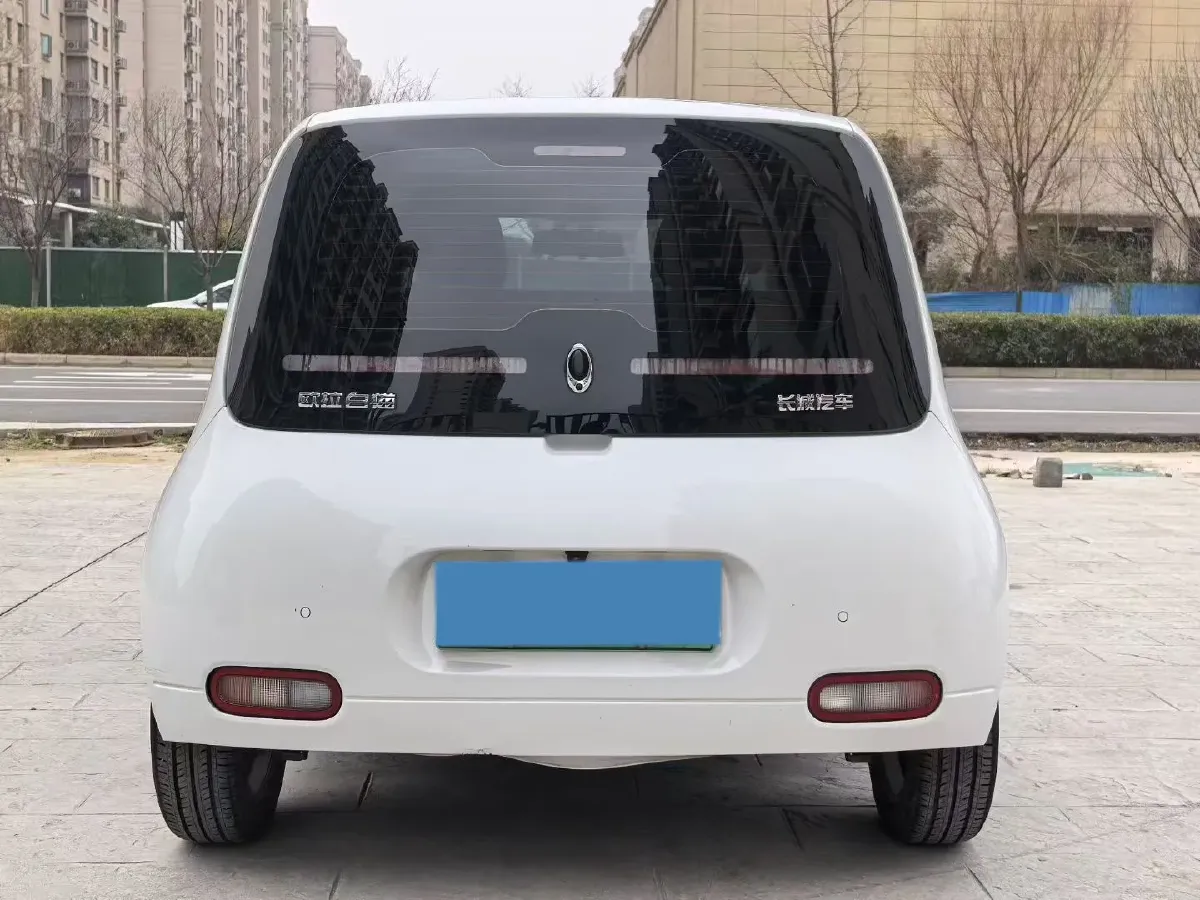 2020 Ora WhiteCat BEV 29.4KWH,autocango,china used car exporter,china ev exporter,chinese used car exporter,chinese used ev exporter