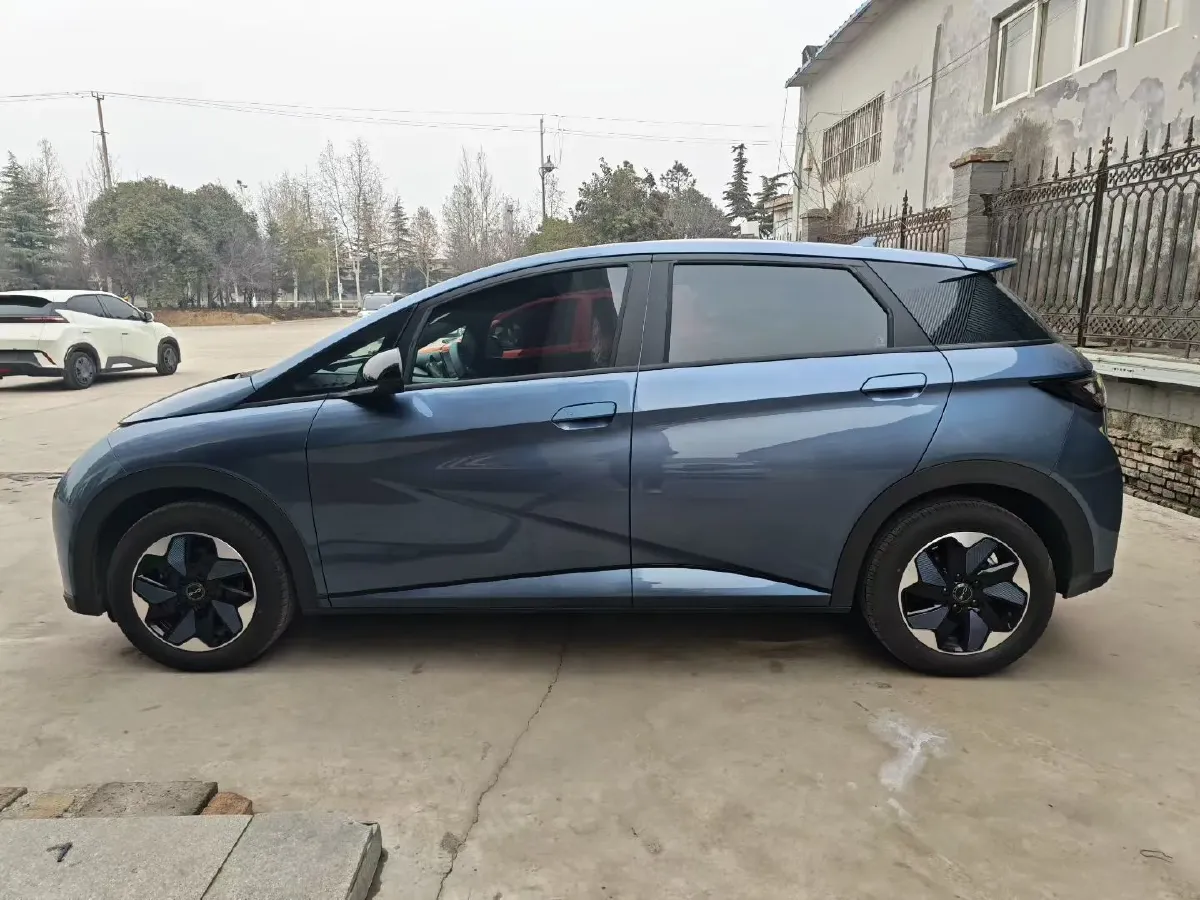 2025 BYD Dolphin BEV 44.928KWH,autocango,china used car exporter,china ev exporter,chinese used car exporter,chinese used ev exporter
