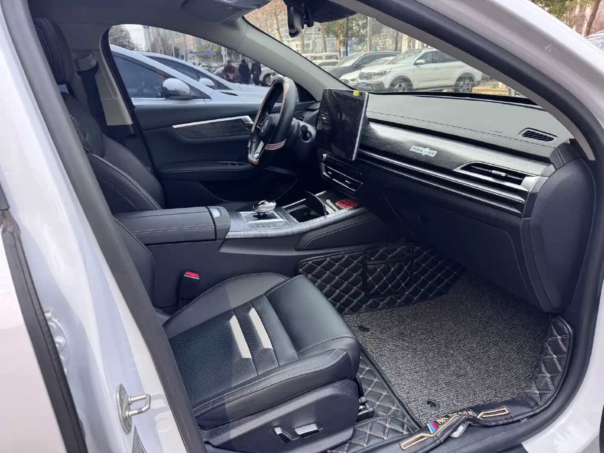 2019 BYD Qin Pro BEV 56.4KWH,autocango,china used car exporter,china ev exporter,chinese used car exporter,chinese used ev exporter