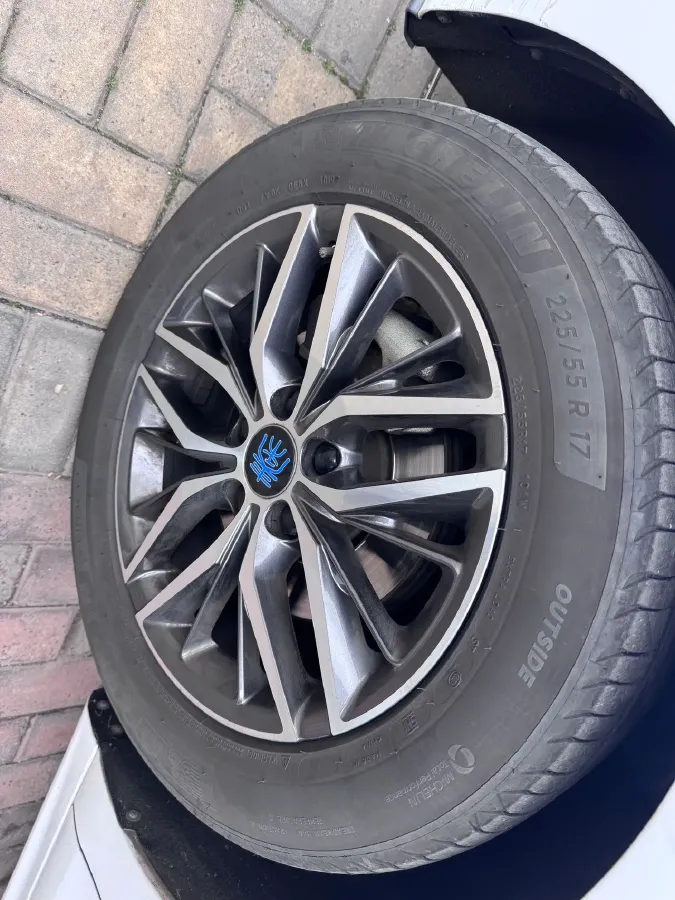 2019 BYD Qin Pro BEV 56.4KWH,autocango,china used car exporter,china ev exporter,chinese used car exporter,chinese used ev exporter