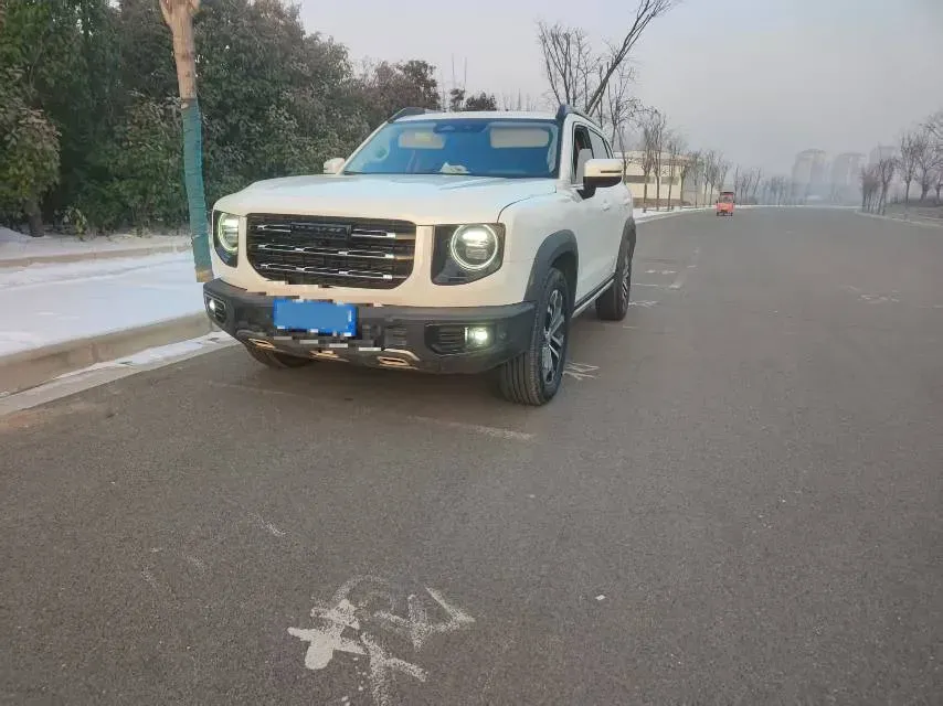 2021 Haval Dargo 2.0T 211HP L4 7DCT,autocango,china used car exporter,china ev exporter,chinese used car exporter,chinese used ev exporter