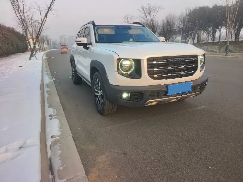 2021 Haval Dargo 2.0T 211HP L4 7DCT,autocango,china used car exporter,china ev exporter,chinese used car exporter,chinese used ev exporter