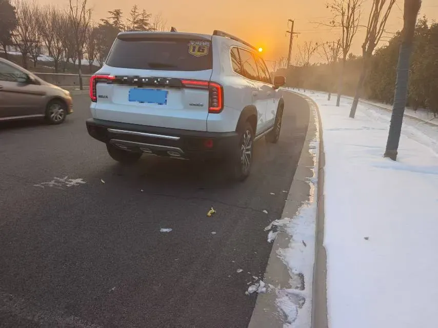 2021 Haval Dargo 2.0T 211HP L4 7DCT,autocango,china used car exporter,china ev exporter,chinese used car exporter,chinese used ev exporter