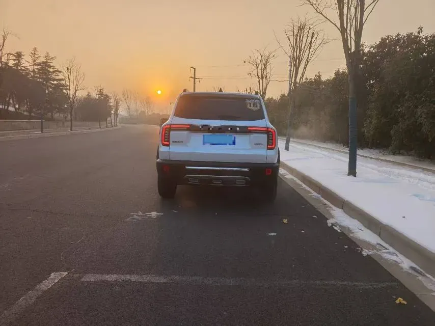 2021 Haval Dargo 2.0T 211HP L4 7DCT,autocango,china used car exporter,china ev exporter,chinese used car exporter,chinese used ev exporter