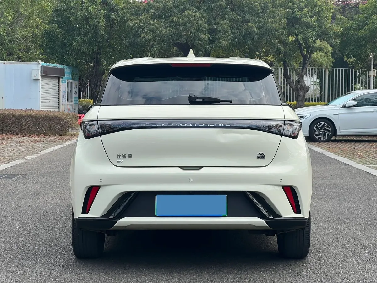 2023 BYD Dolphin BEV 44.928KWH,autocango,china used car exporter,china ev exporter,chinese used car exporter,chinese used ev exporter