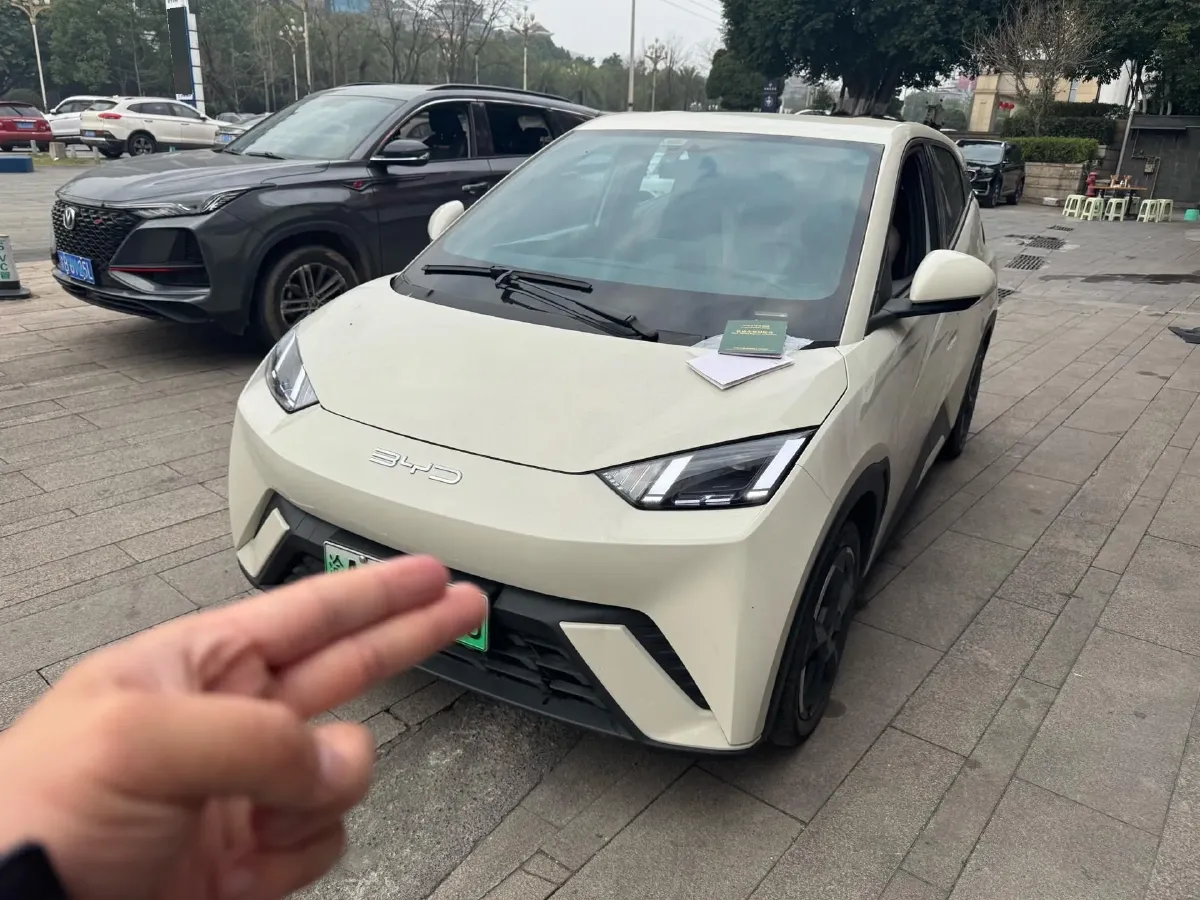 2024 BYD Seagull BEV 30.08KWH,autocango,china used car exporter,china ev exporter,chinese used car exporter,chinese used ev exporter