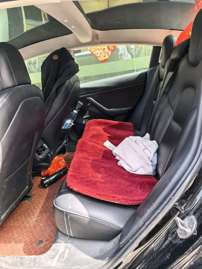 2022 Tesla Model 3 BEV 60KWH,autocango,china used car exporter,china ev exporter,chinese used car exporter,chinese used ev exporter