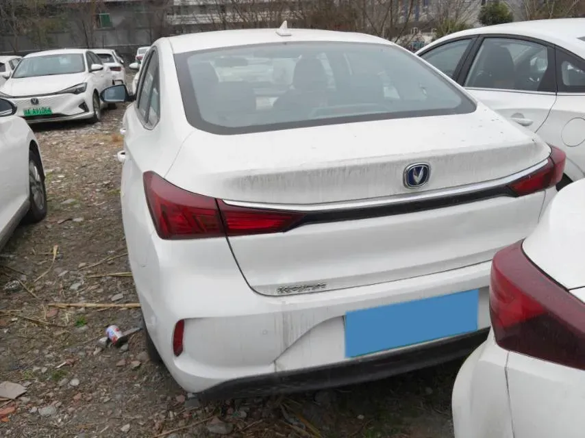 2022 ChangAn Eado BEV 47.78KWH,autocango,china used car exporter,china ev exporter,chinese used car exporter,chinese used ev exporter