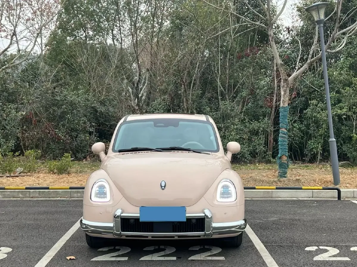 2023 Ora BalletCat BEV 49.92KWH,autocango,china used car exporter,china ev exporter,chinese used car exporter,chinese used ev exporter