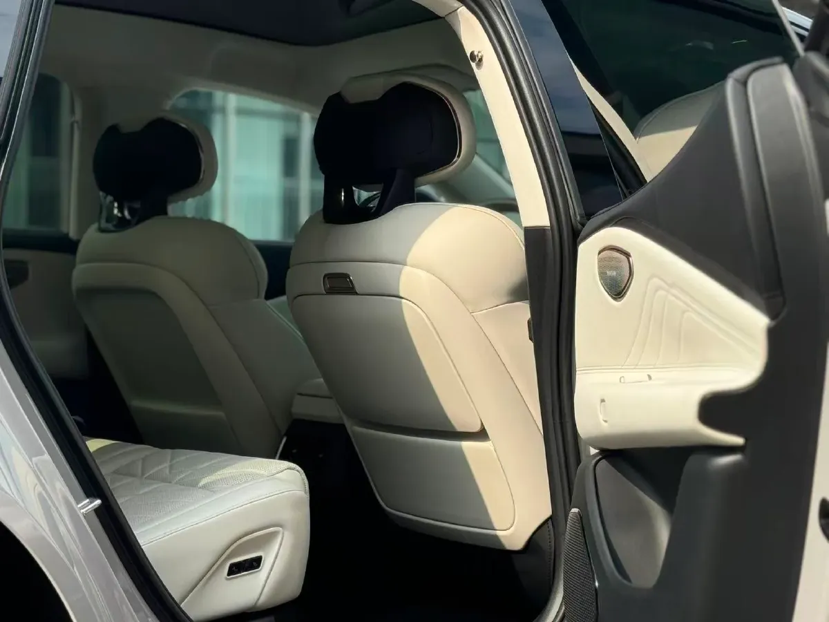 2025 LYNK&CO 10 EM-P 1.5T 163HP L4 3DHT PHEV,autocango,china used car exporter,china ev exporter,chinese used car exporter,chinese used ev exporter