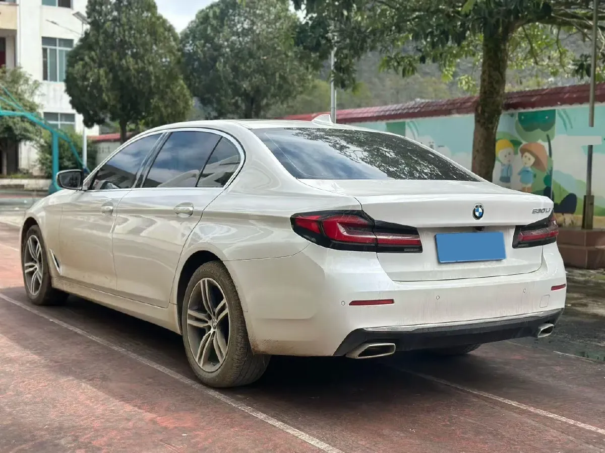 2021 BMW 5 Series 2.0T 252HP L4 8AT,autocango,china used car exporter,china ev exporter,chinese used car exporter,chinese used ev exporter