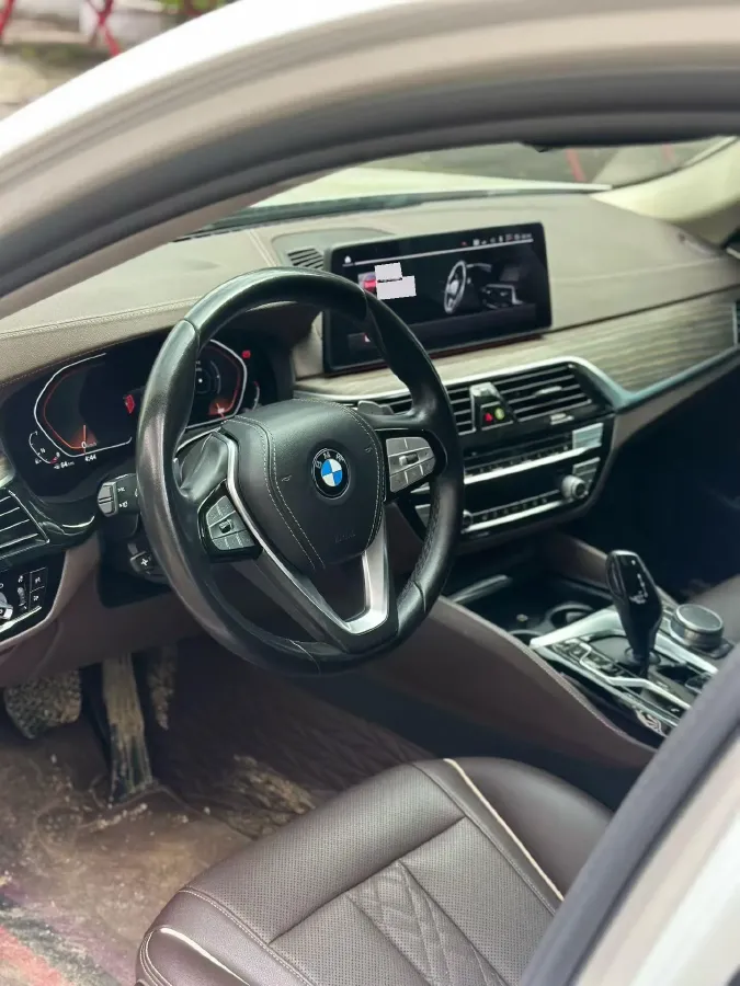 2021 BMW 5 Series 2.0T 252HP L4 8AT,autocango,china used car exporter,china ev exporter,chinese used car exporter,chinese used ev exporter