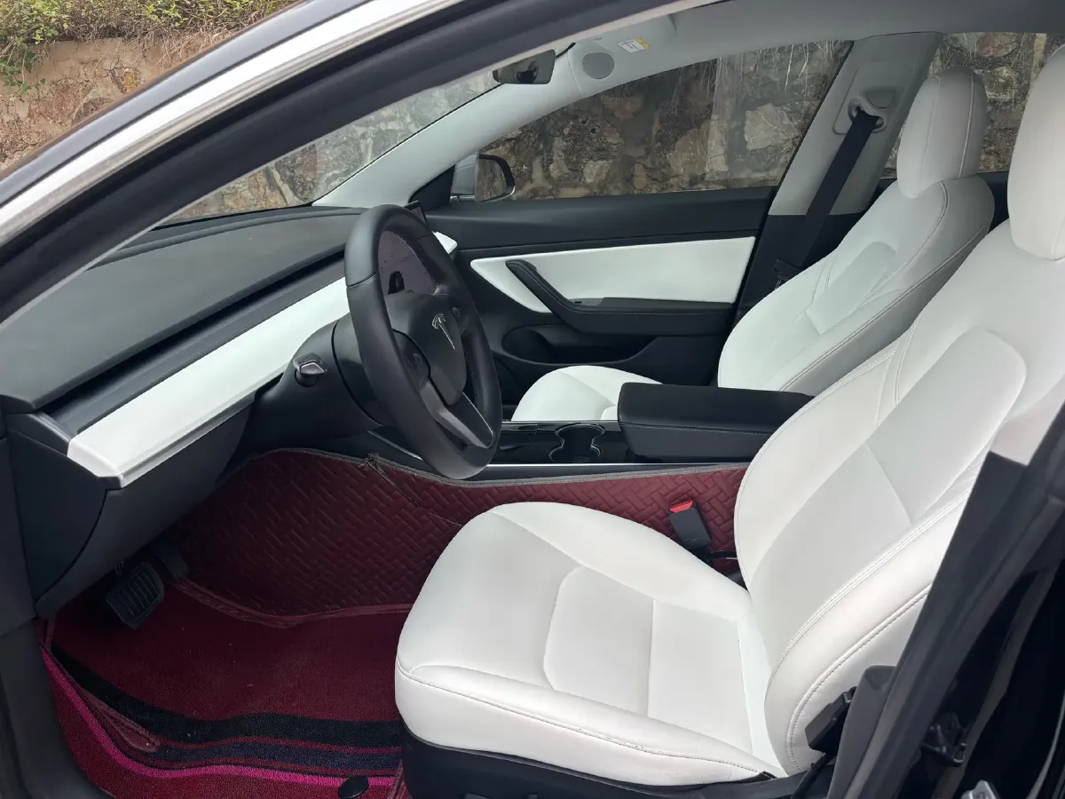 2020 Tesla Model 3 BEV 55KWH,autocango,china used car exporter,china ev exporter,chinese used car exporter,chinese used ev exporter