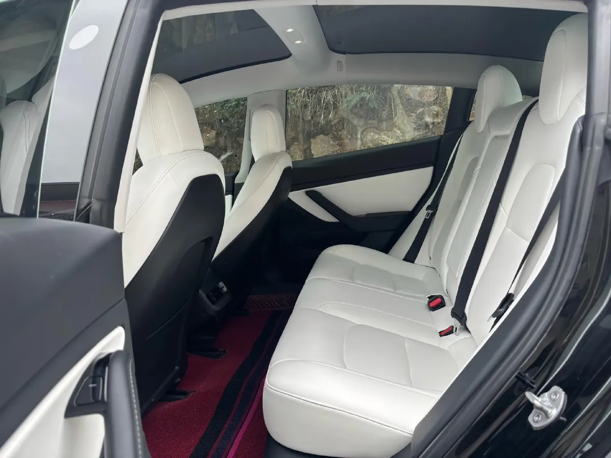 2020 Tesla Model 3 BEV 55KWH,autocango,china used car exporter,china ev exporter,chinese used car exporter,chinese used ev exporter
