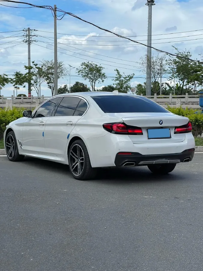 2021 BMW 5 Series 2.0T 252HP L4 8AT,autocango,china used car exporter,china ev exporter,chinese used car exporter,chinese used ev exporter