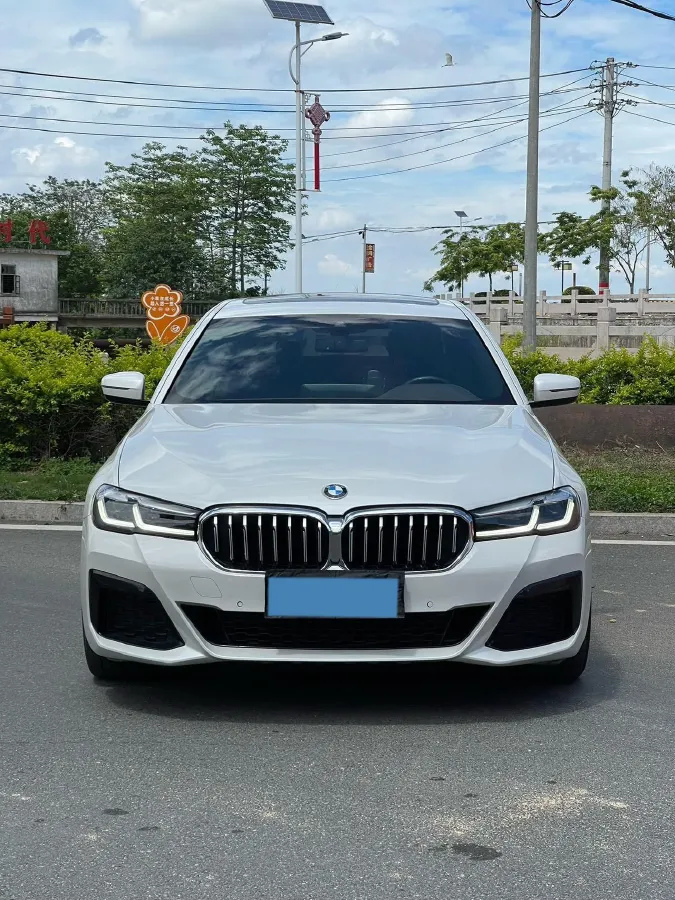 2021 BMW 5 Series 2.0T 252HP L4 8AT,autocango,china used car exporter,china ev exporter,chinese used car exporter,chinese used ev exporter