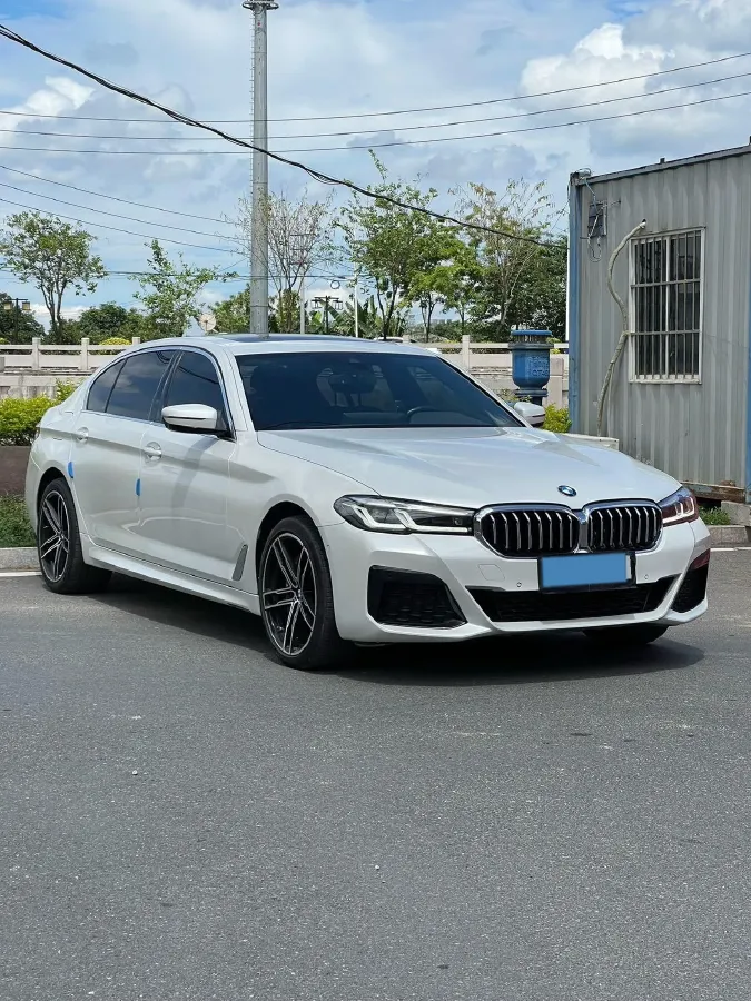 2021 BMW 5 Series 2.0T 252HP L4 8AT,autocango,china used car exporter,china ev exporter,chinese used car exporter,chinese used ev exporter