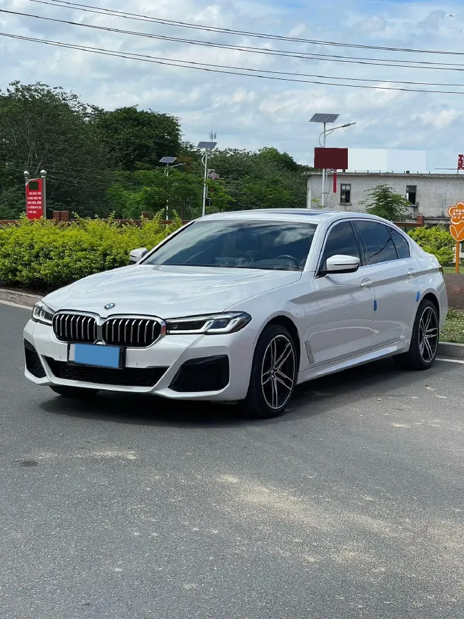 2021 BMW 5 Series 2.0T 252HP L4 8AT,autocango,china used car exporter,china ev exporter,chinese used car exporter,chinese used ev exporter