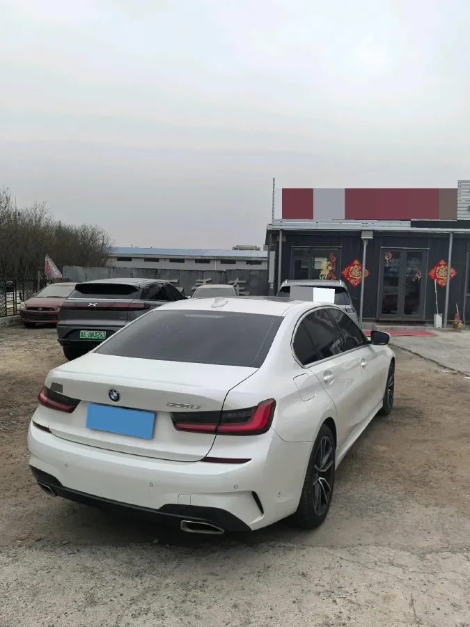 2021 BMW 3 Series 2.0T 156HP L4 8AT,autocango,china used car exporter,china ev exporter,chinese used car exporter,chinese used ev exporter