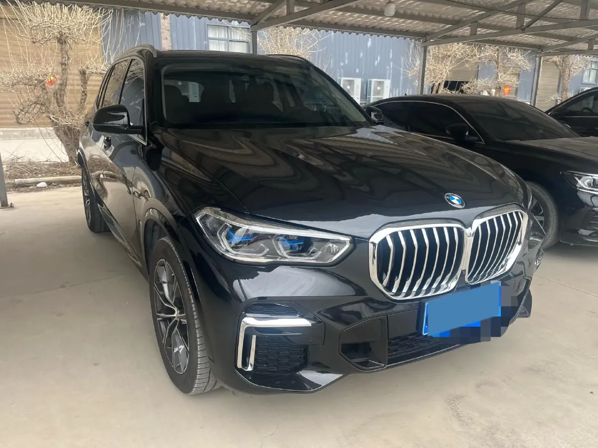 2022 BMW X5 2.0T 245HP L4 8AT,autocango,china used car exporter,china ev exporter,chinese used car exporter,chinese used ev exporter