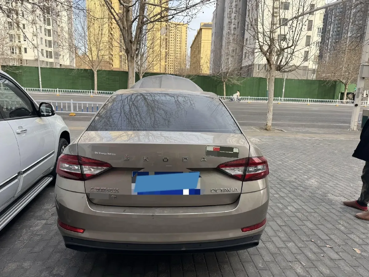2021 Skoda Octavia 1.5L 113HP L4 6AT,autocango,china used car exporter,china ev exporter,chinese used car exporter,chinese used ev exporter
