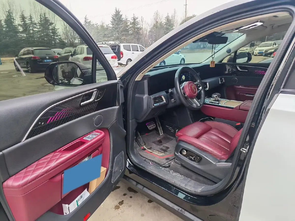 2021 HongQi E-HS9 BEV 84KWH,autocango,china used car exporter,china ev exporter,chinese used car exporter,chinese used ev exporter