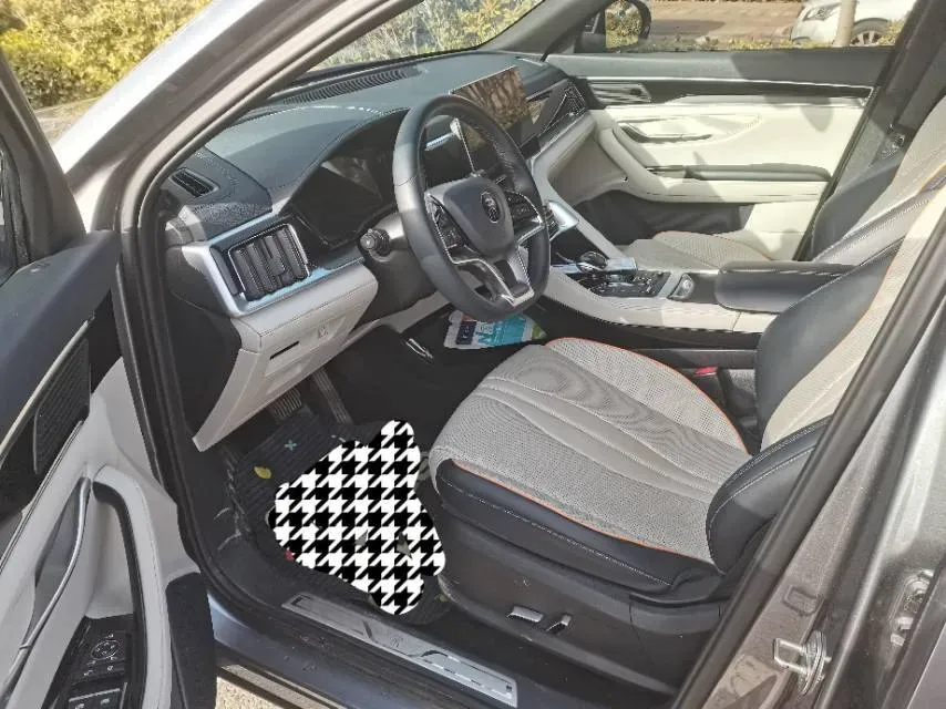 2021 BYD Qin BEV 53.56KWH,autocango,china used car exporter,china ev exporter,chinese used car exporter,chinese used ev exporter