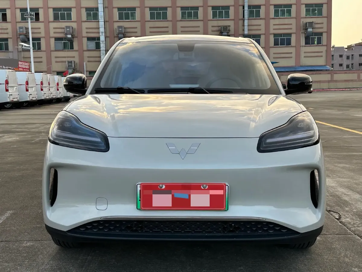 2024 WuLing BinGuoPLUS BEV 31.9KWH,autocango,china used car exporter,china ev exporter,chinese used car exporter,chinese used ev exporter
