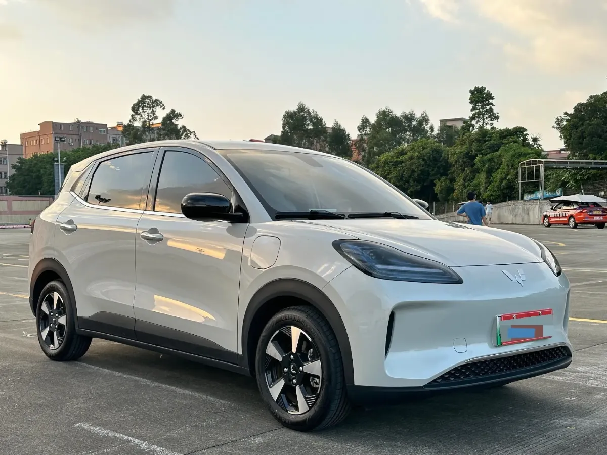 2024 WuLing BinGuoPLUS BEV 31.9KWH,autocango,china used car exporter,china ev exporter,chinese used car exporter,chinese used ev exporter