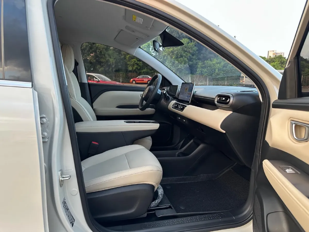 2024 WuLing BinGuoPLUS BEV 31.9KWH,autocango,china used car exporter,china ev exporter,chinese used car exporter,chinese used ev exporter