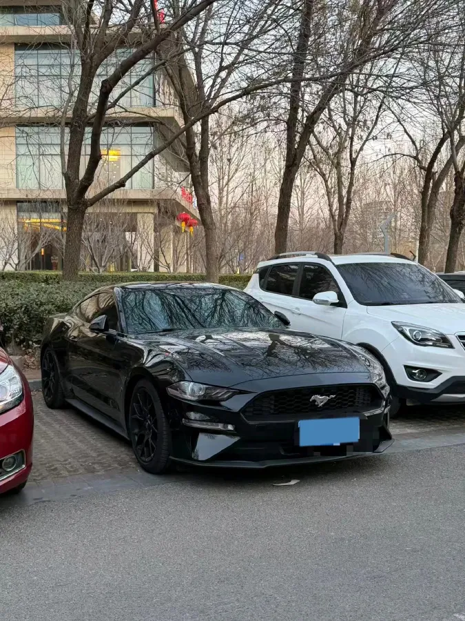 2020 Ford Mustang 2.3T 299HP L4 10AT,autocango,china used car exporter,china ev exporter,chinese used car exporter,chinese used ev exporter