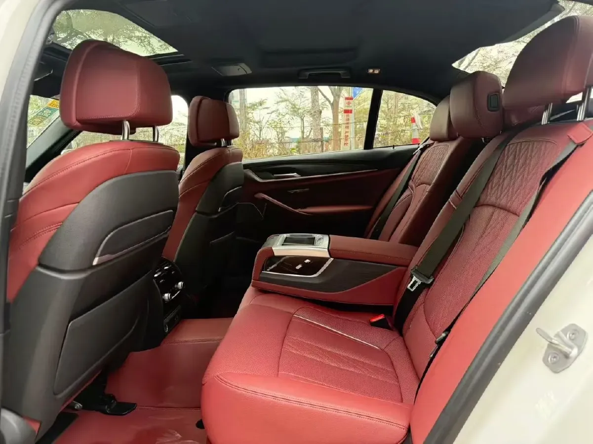 2021 BMW 5 Series 2.0T 252HP L4 8AT,autocango,china used car exporter,china ev exporter,chinese used car exporter,chinese used ev exporter