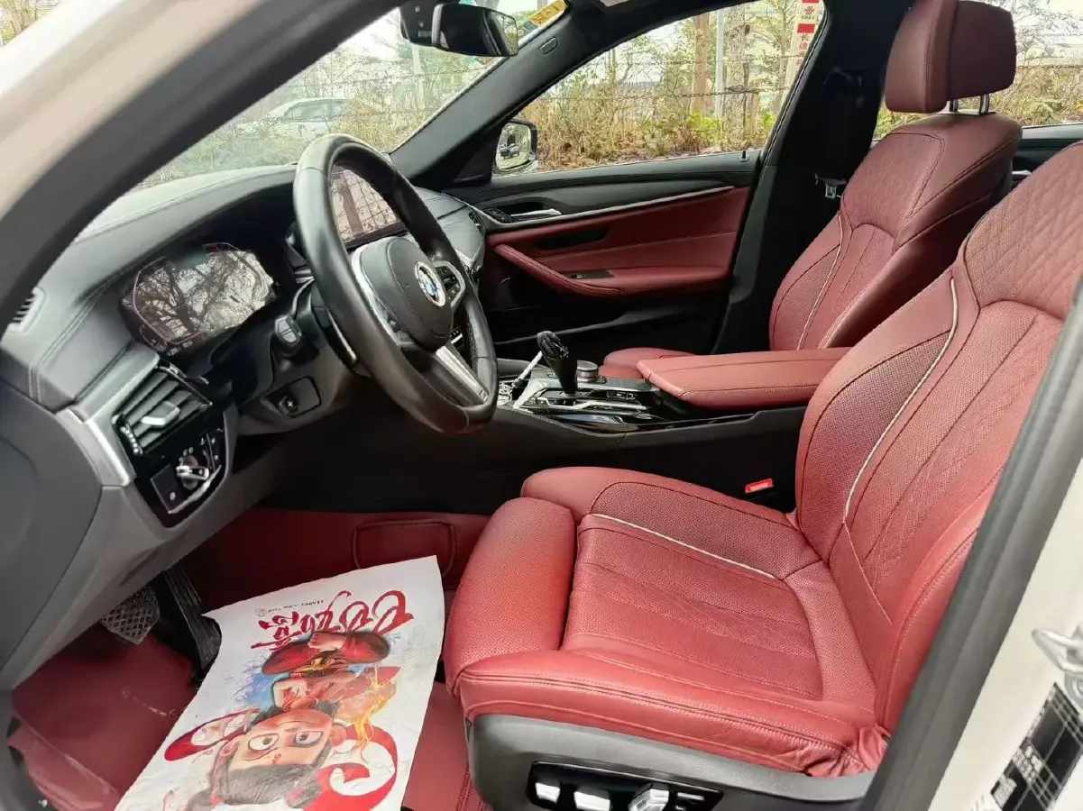 2021 BMW 5 Series 2.0T 252HP L4 8AT,autocango,china used car exporter,china ev exporter,chinese used car exporter,chinese used ev exporter