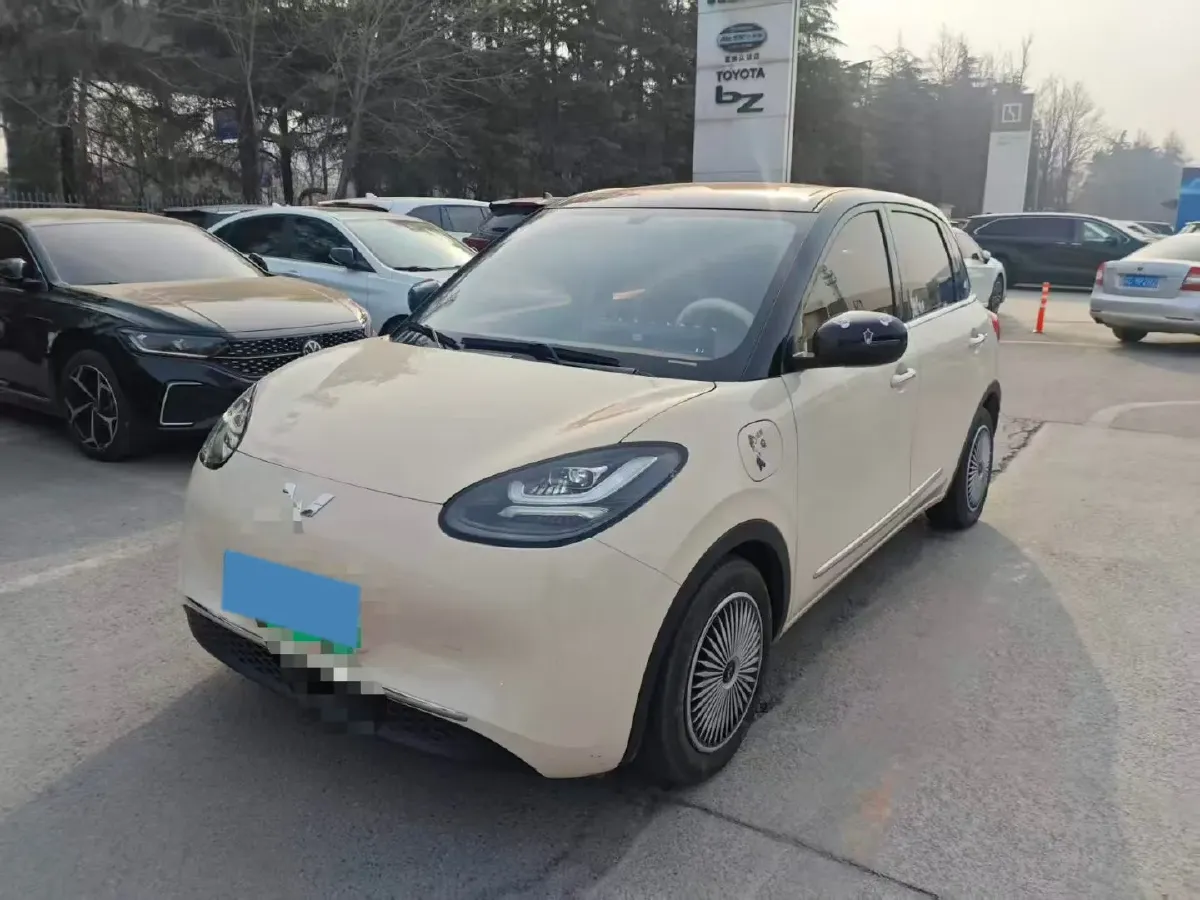 2025 WuLing BinGuo BEV,autocango,china used car exporter,china ev exporter,chinese used car exporter,chinese used ev exporter